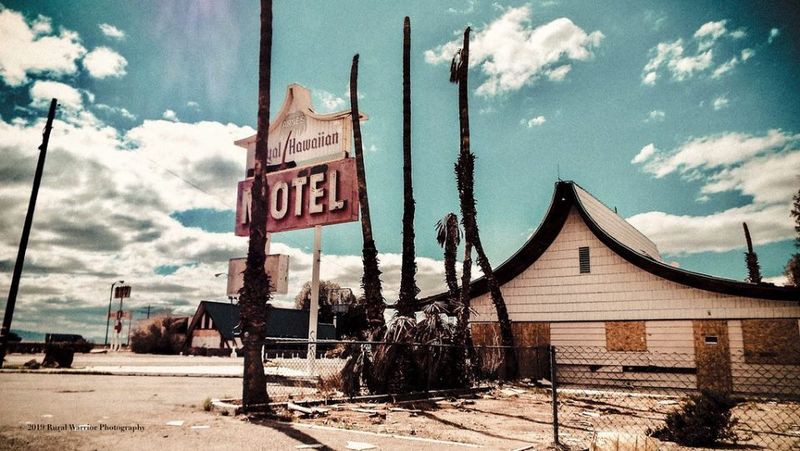 A Mid-Century Time Capsule