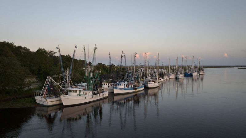 Brunswick's Shrimping Fleet