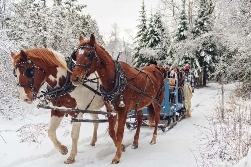 Horse-Drawn Carriage Rides
