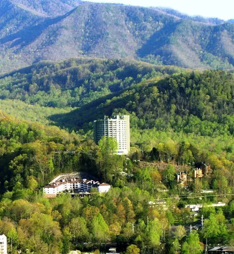 The Controversial Beginning