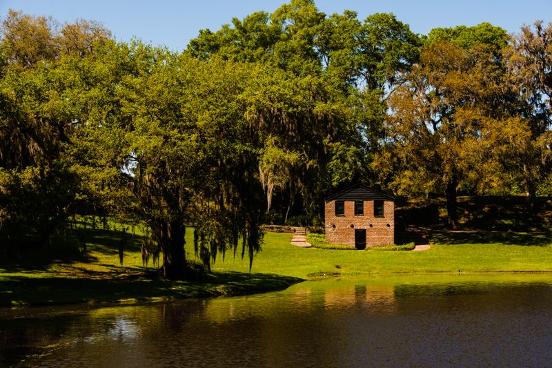 The Lost Plantation Economies