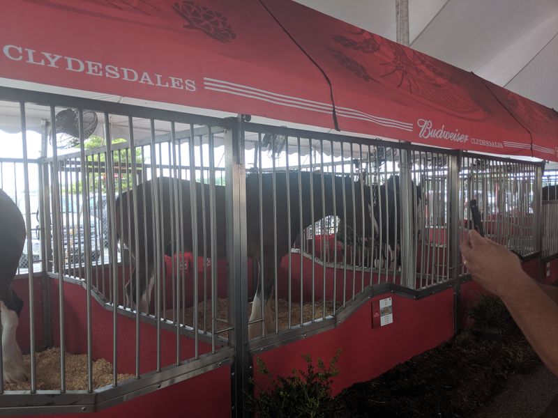 A Fairground With More History Than Meets the Eye