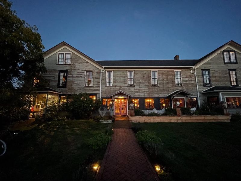 The Peninsula's Edge Where Forest Meets Water