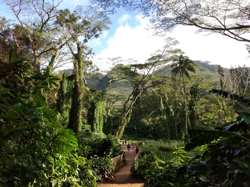 Where the trail begins