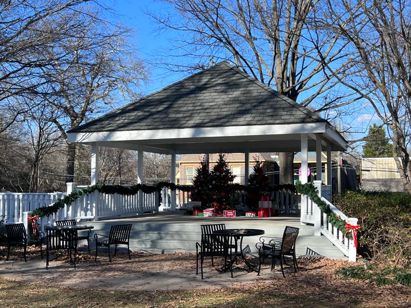 Winter Festival Focus