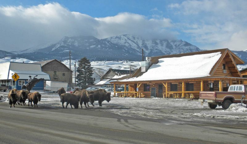 Atmospheric Firelight Dining