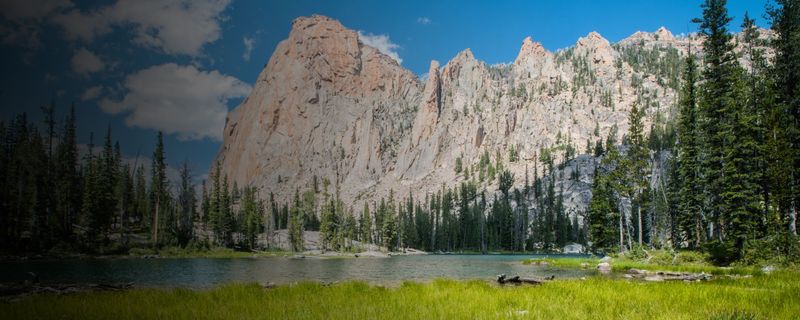 More Than Just a Fine, Potential Arrests