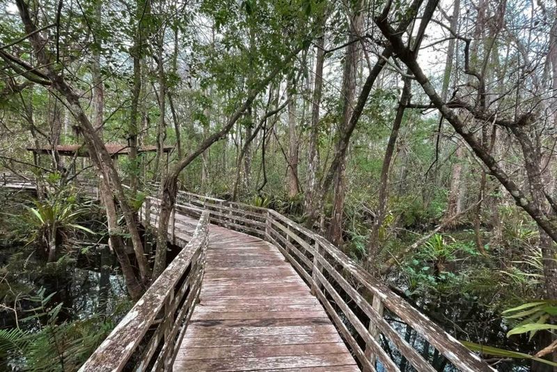 Nature Isn’t a Theme Ride