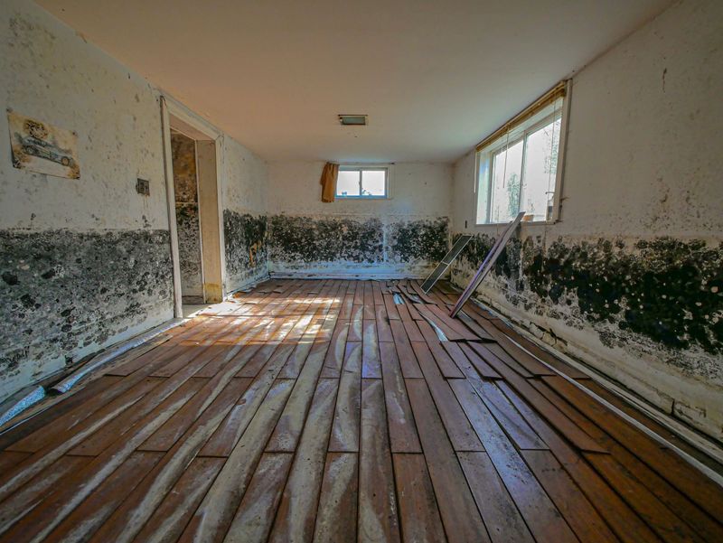 Water-Stained Walls and Mold