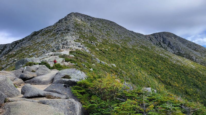 Krummholz and Alpine Tundra