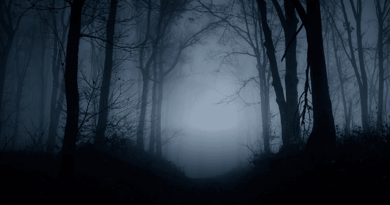 Reports of Shadowy Figures Among the Trees