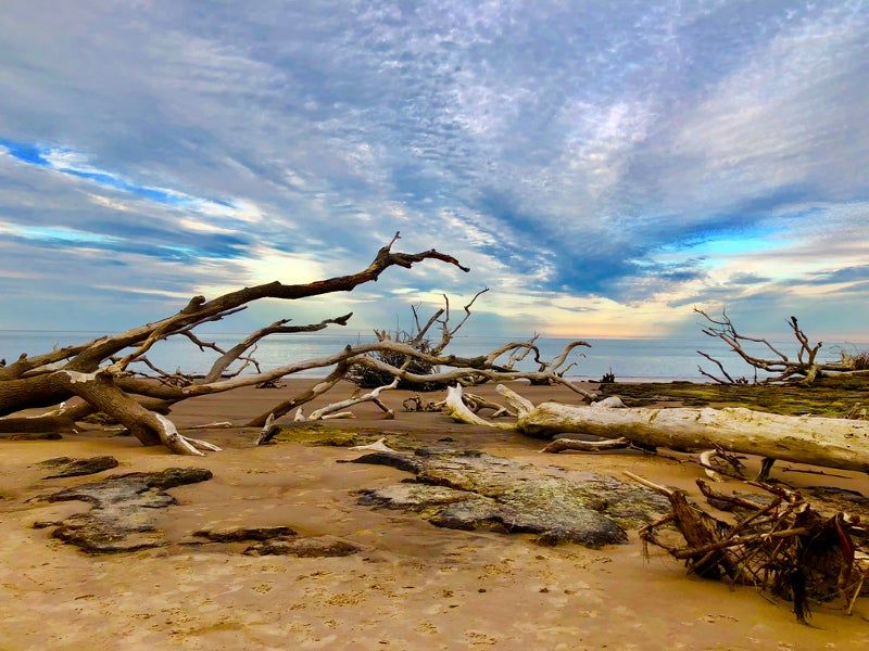 Big Talbot Island State Park