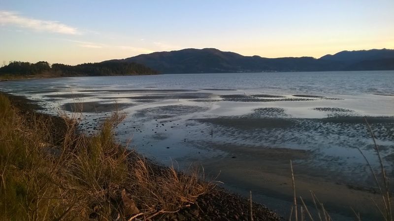 Transformed Into an Island