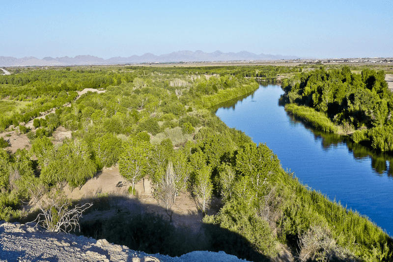 Yuma East Wetlands