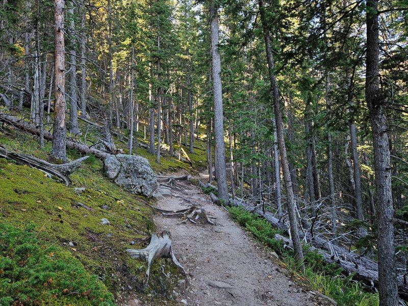 A Journey to the Peak: How to Experience the Solstice Magic Responsibly