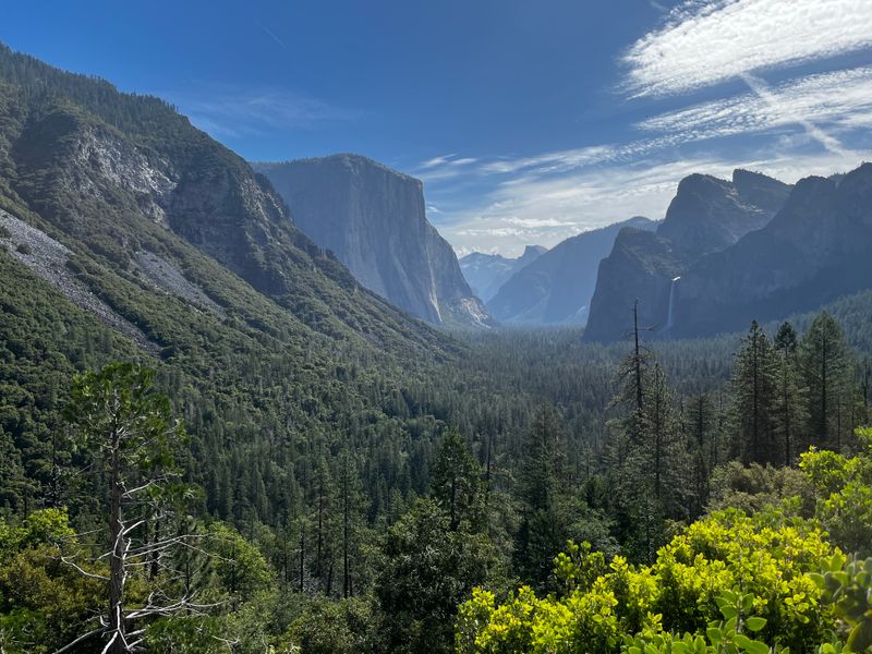 Architectural Gem, Frank Lloyd Wright in the Snow