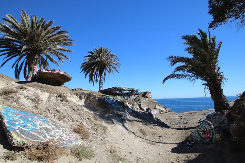 Photography Paradise for Social Media