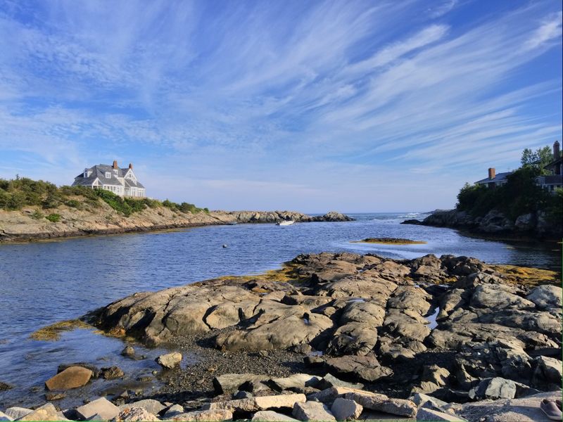 Current Landscape of the Site