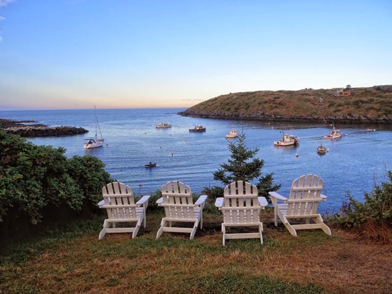 The Absence of Cars, A Quiet Sanctuary