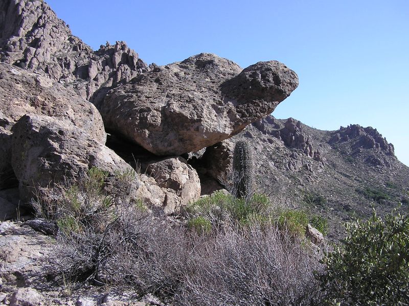 GPS vs. Instinct: Navigating the Treacherous Terrain