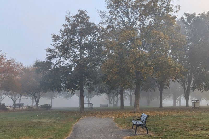 Lost Amusement Park Concept