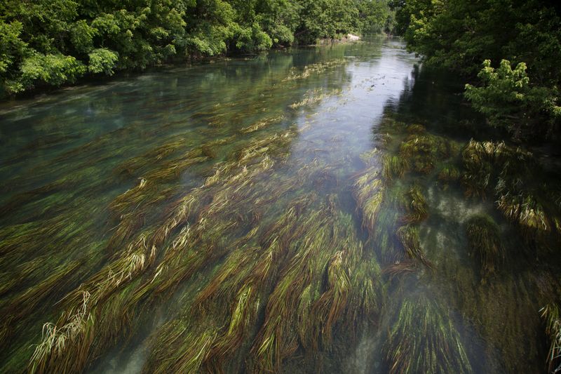 Reclamation Over Recreation