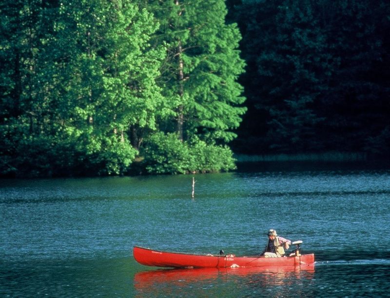 Activities for Two: Shared Adventures, Gentle Moments