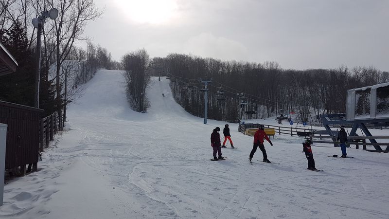 Cabins and Foundations Hidden Beneath the Trees