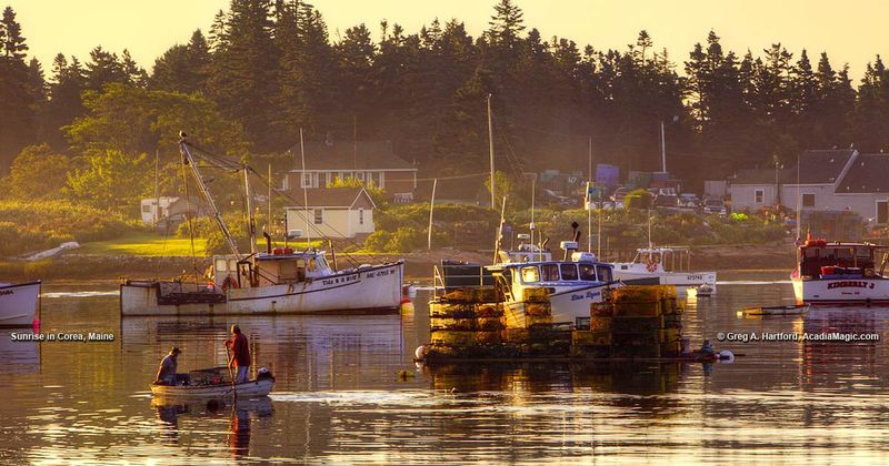A Real Working Harbor With Classic Maine Rhythm