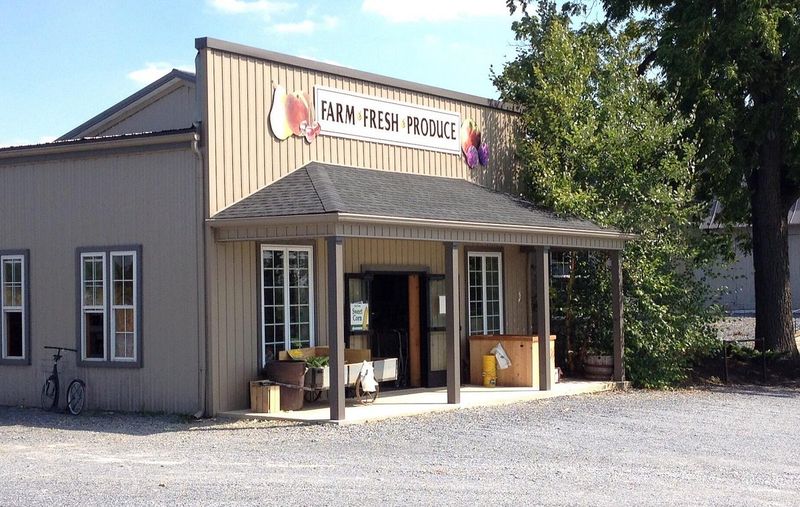 Kissell Hill Fruit Farm & Market