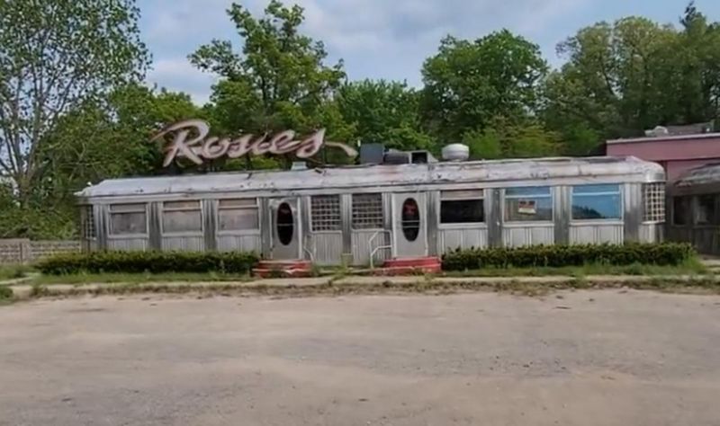 How Nature Slowly Took Over the Lot