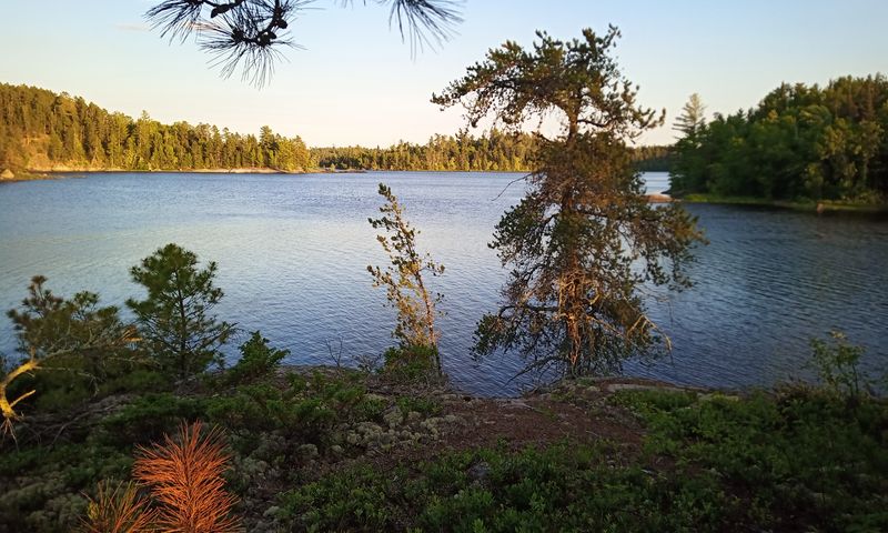 Why Minnesota’s Winter Reminds Travelers of the Far North