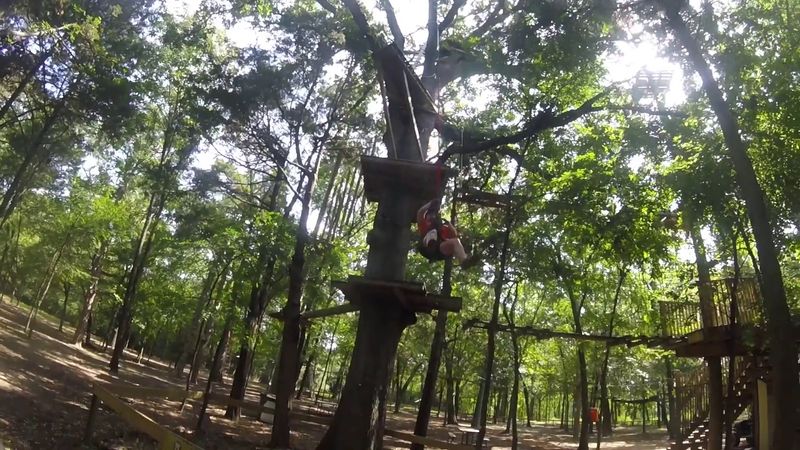 Low Attendance and Competition