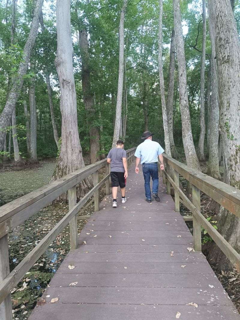 A Quiet Mississippi Town With a Surprising Night Sky