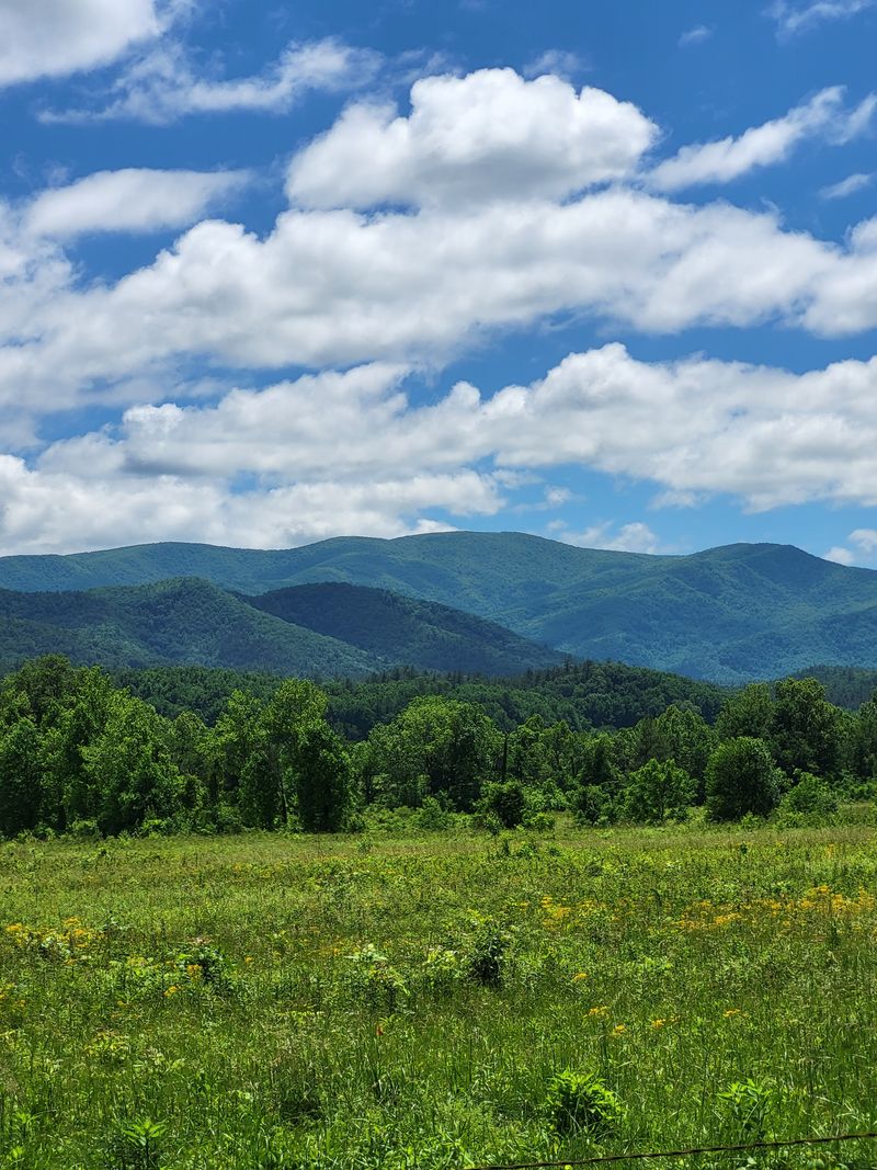 A Valley in Tennessee Where Silence Still Exists