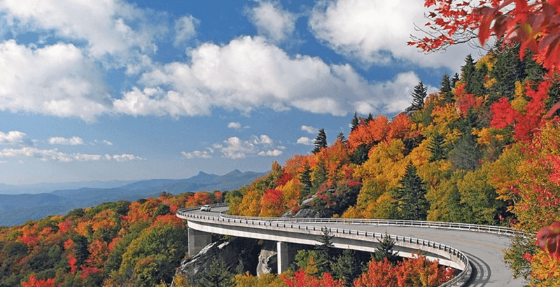 Linn Cove Viaduct (Milepost 304.6)