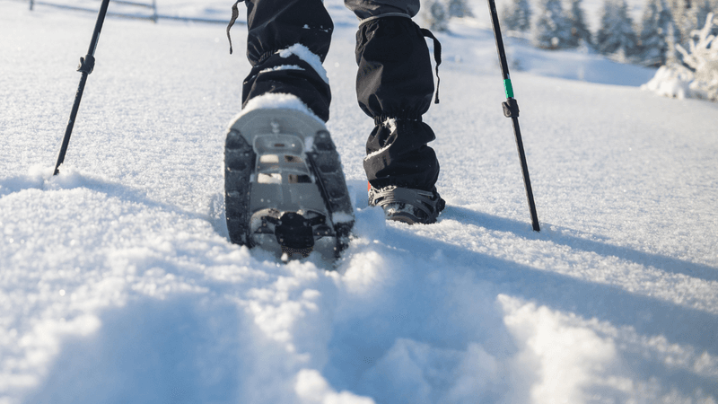 Snowshoeing and Winter Hiking: Shore Path to Conservancies