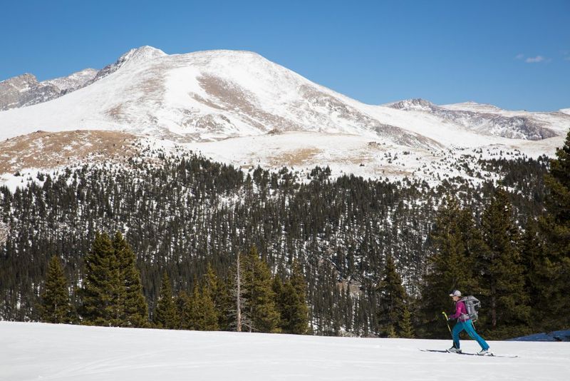 The Abandoned Ski Lifts and Trails