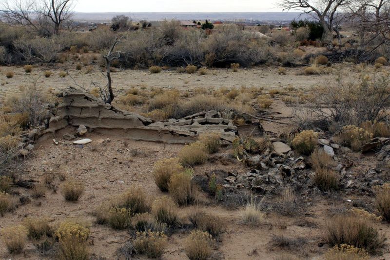 Swallowed by Sand and Time