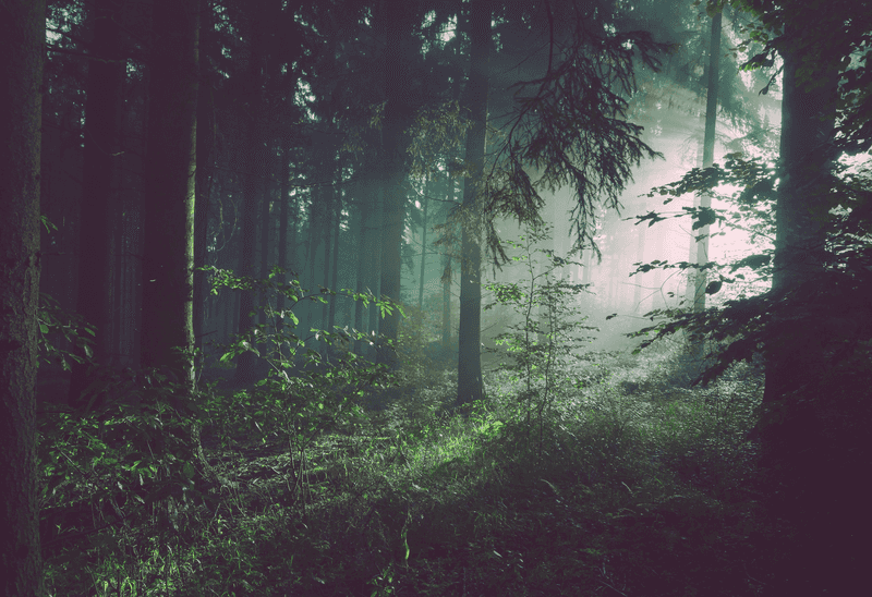 Trails That Play Tricks on Your Mind