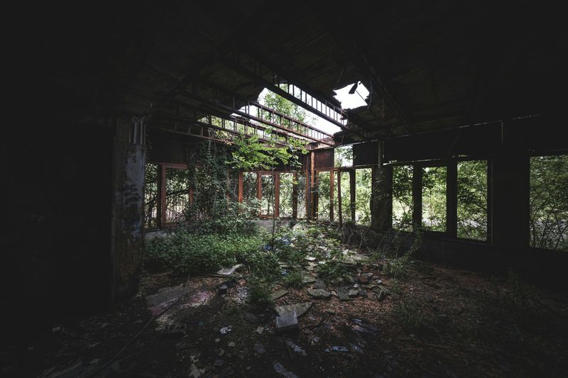 Florida's Brutal Climate Reclaims Everything