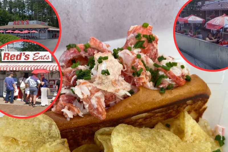 Media Darling of the Food World