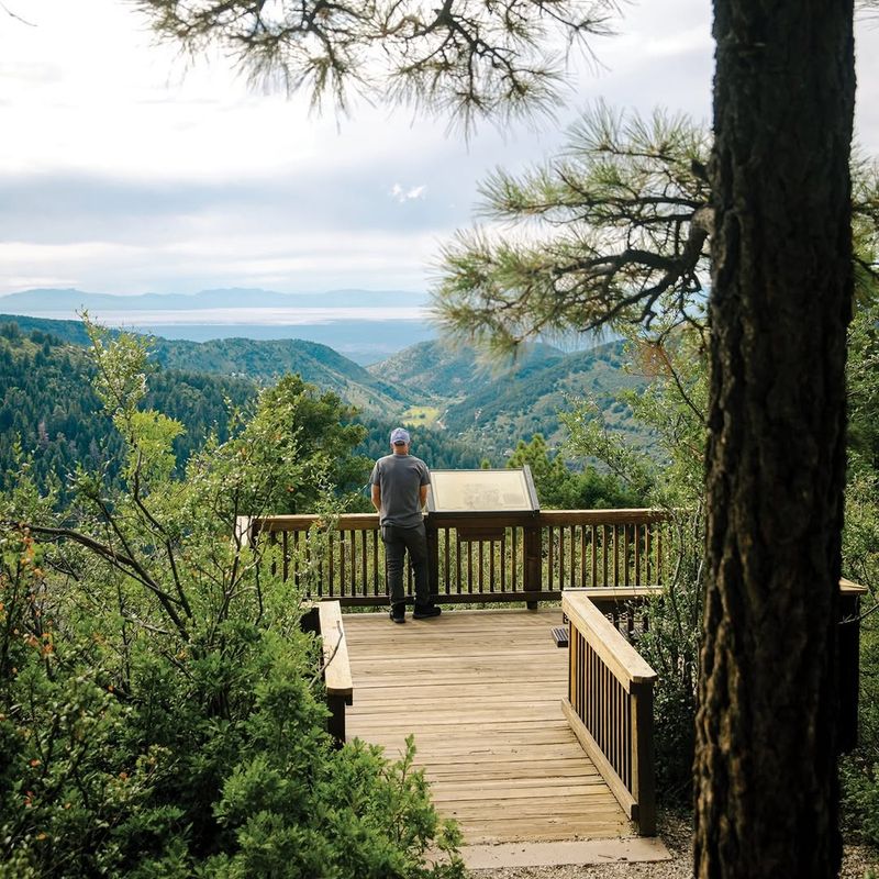 A Mountain Town Hidden High in the New Mexico Forests