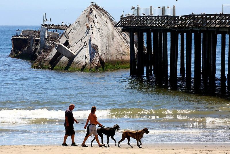 A Permanent Graveyard