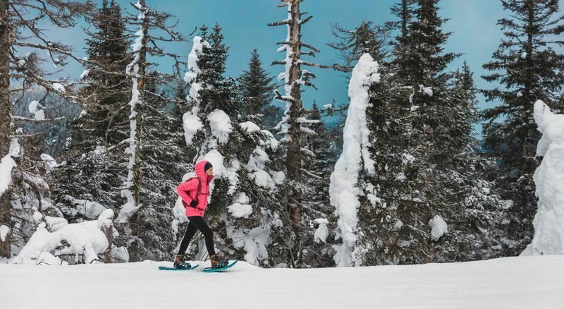 Nature Trails for Winter Wandering