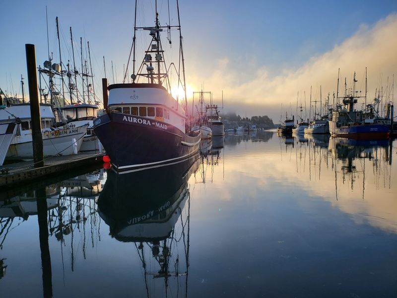 Direct Commercial Fishery Link