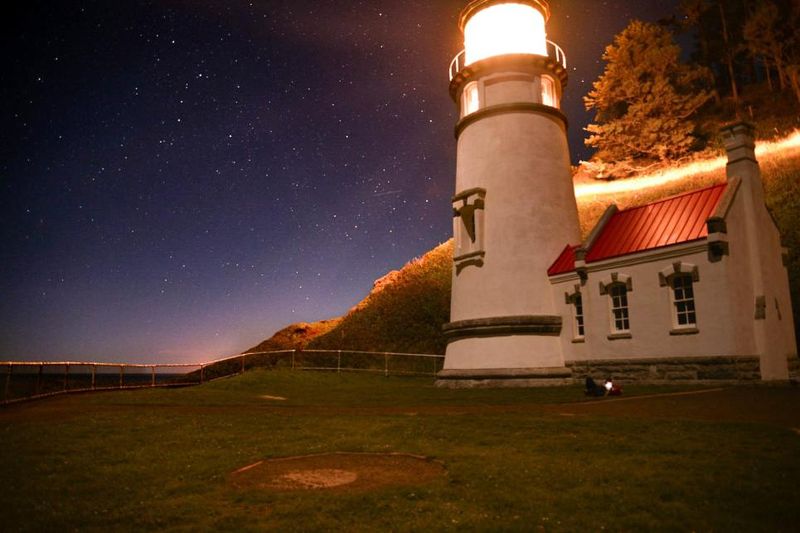 A Coastal Forest Path With an Unusual Reputation