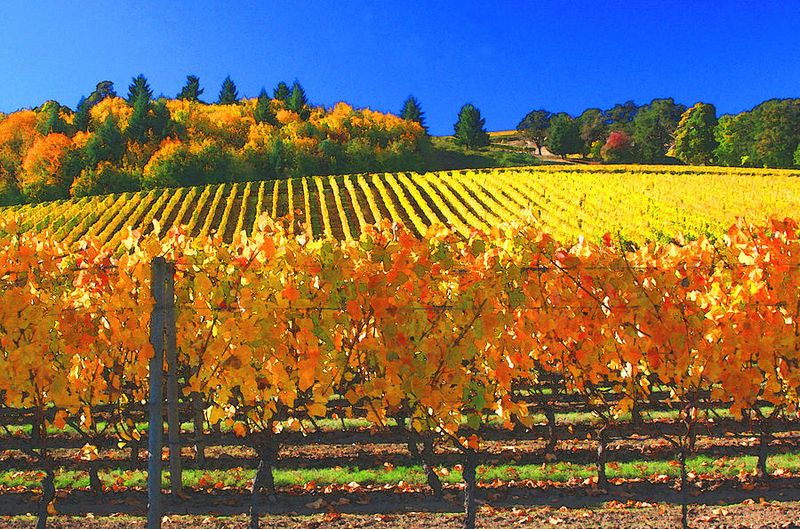 Thanksgiving in Oregon’s Country Side