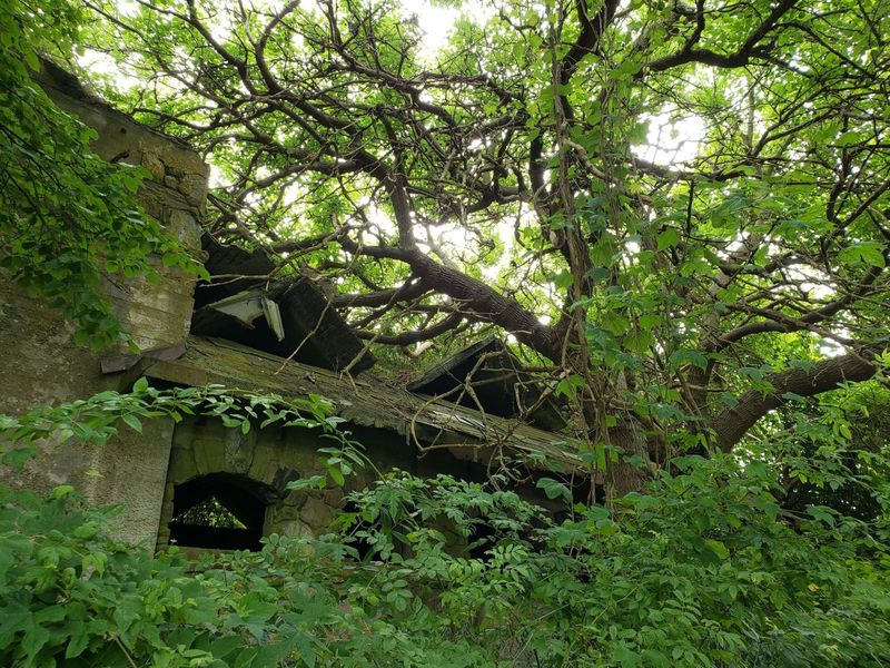 The Bell's Mysterious Ring