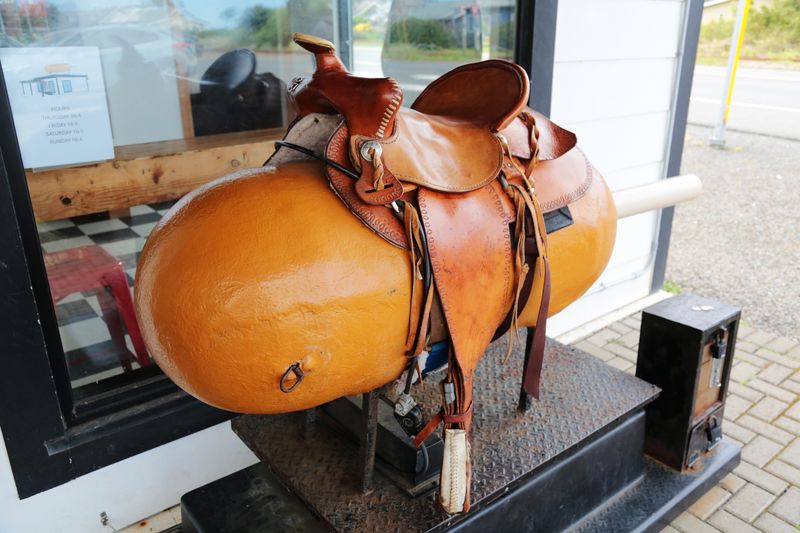 Quirky Roadside Attractions